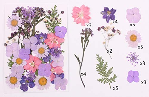 Flores secas naturales para manualidades y decoración miniatura 2
