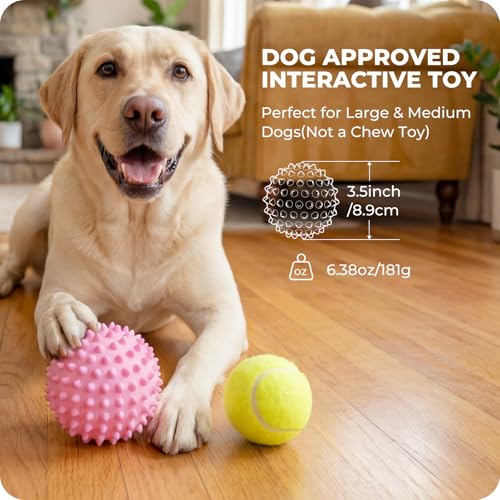 42% Off Apasiri Durable Squeaky Dog Ball for Large Dogs - Image 3