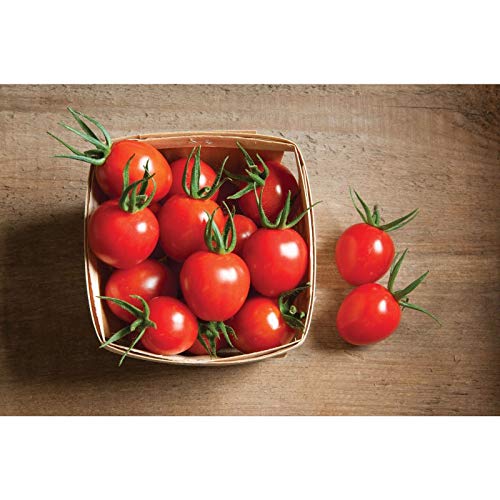 Cherry Bomb F1 Hybrid Tomato Seeds (80 Seed Pack)