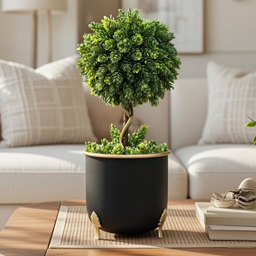 Image of BEHOMA Black Metal Leaf Leg Planter 6 inch Tabletop Planter | Pot for Indoor Outdoor Balcony Living Room | Table Plant Pot with Leaf Leg for Gifting