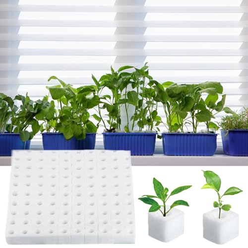 ZAHD 200 PCS Hydroponik Schwamm zum Anzüchten von Samen Sämlings Schwämme Soilless Hydroponic Schwämme Sämlings Schwämme Hydrokultur Sämlingsschwämme für Gewächshaus Anzucht Steinwolle Würfe (Weiß)