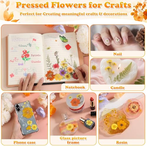 Image of 361 Pcs Fall Dried Pressed Flowers Butterfly Stickers for Resin Crafts
