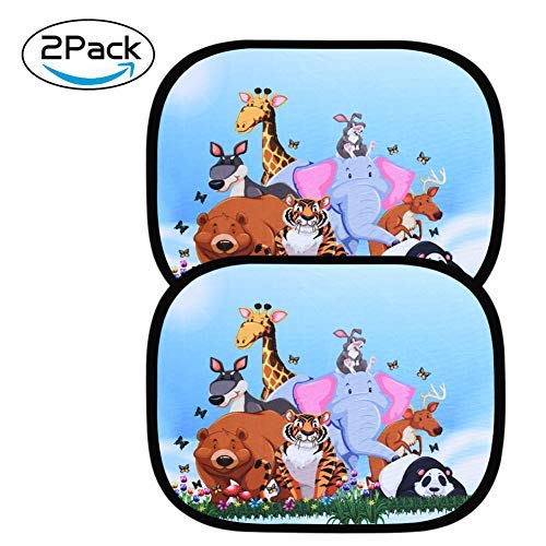 astarye Protección Solar para Ventanas Laterales.