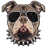 GLOBLELAND Sonnenbrille Kampfhund Unregelmäßig Retro Blechschild Hunde Lustige Schilder Mit Sprüchen Vintage Metallschild Für Sommer Tierhandlung Hundehütte Haustier Hund