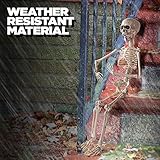 Prextex 20 Inch Posable Halloween Skeleton- Full Body Halloween Skeleton with Movable/Posable Joints for Best Halloween Decoration