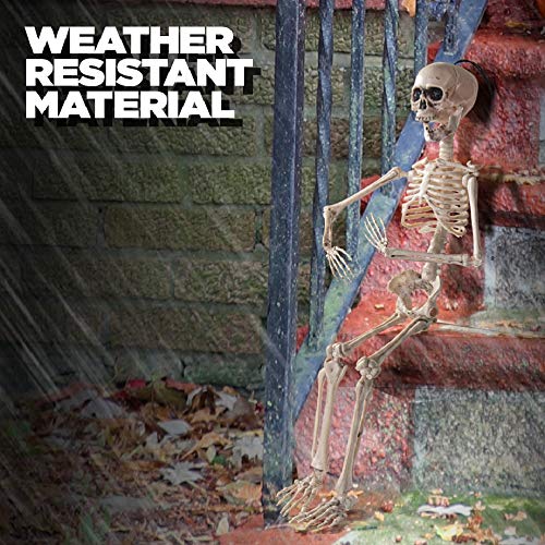 PREXTEX 20 Inch Posable Halloween Skeleton- Full Body Halloween Skeleton with Movable/Posable Joints for Best Halloween Decoration
