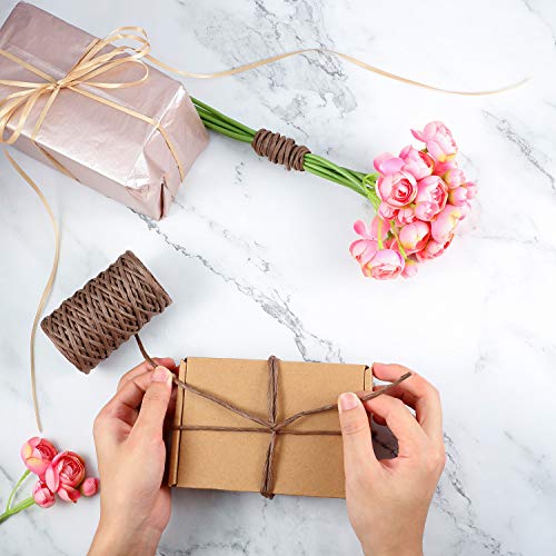 image for Syhood 65 Feet Floral Wire Rustic Vine Bind Wire for Craft Wrapping Fl