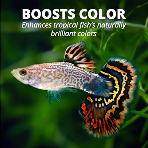TetraPro Tropical Color Crisps, Fish Food With Natural Color Enhancers, Tropical Fish Food, 7.41 Ounces - Image 6