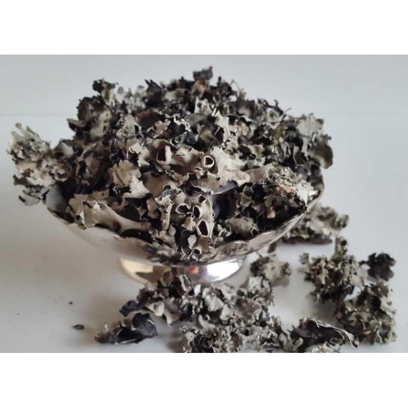 KOO Retails Stone Flower Spice 50 Gram | Pathar Phool | Dagad Phool | Chhabila | Kalpasi Spice | Permalia Perlata | Rock Flower Stone | Patthar Ke Phool (B0CFVTZM2X) Amazon Price History, Amazon Price Tracker