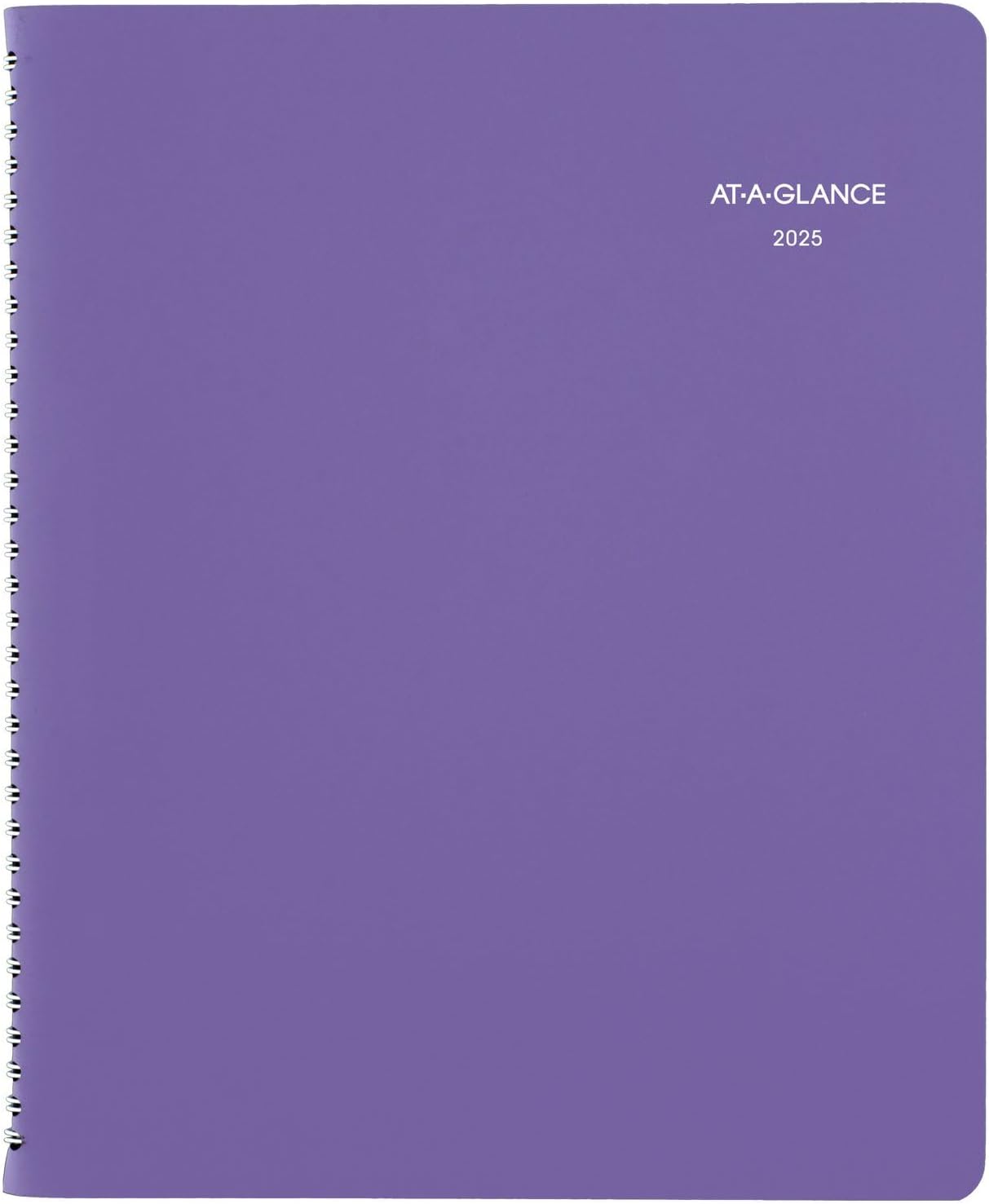AT-A-GLANCE 2026 Planner, Weekly & Monthly, 8.5" x 11", Large, Beautiful Day (938P-905-26)