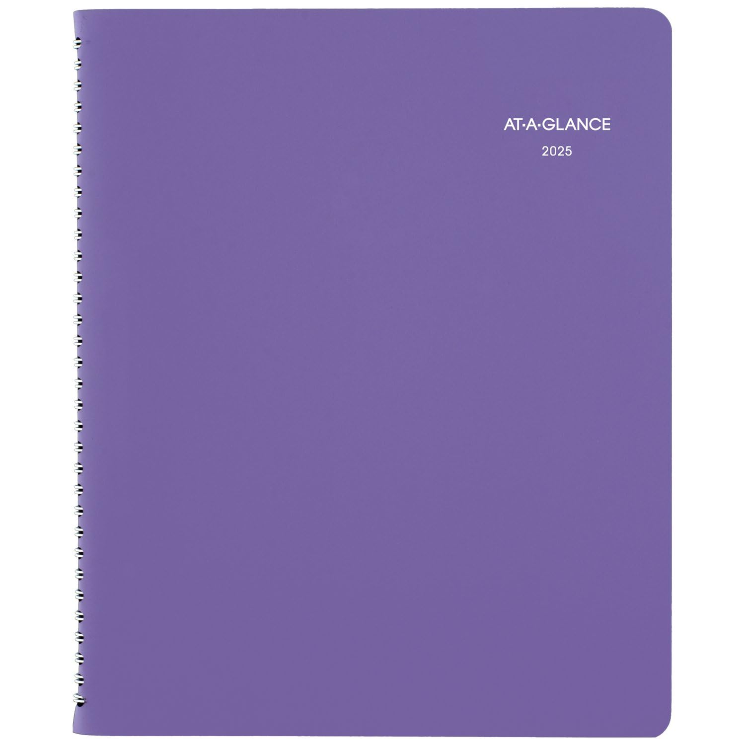 AT-A-GLANCE2025 Planner, Weekly & Monthly, 8-1/2" x 11", Large, Beautiful Day (938P-905-25)