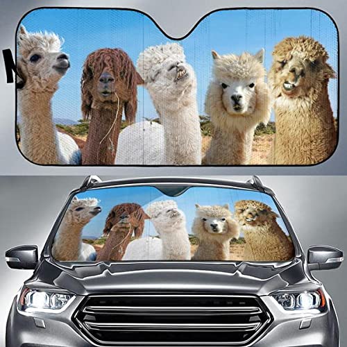 Pare-brise voiture pliable couverture contre gel et soleil alpaga