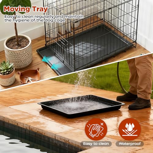 Image of BestPet | Dog Crate | 24 inch | Black | Foldable Metal Kennel with Single Doors