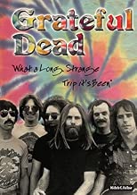 Grateful Dead: What a Long, Strange Trip It's Been (Rebels of Rock) (Rebels of Rock (Paperback))