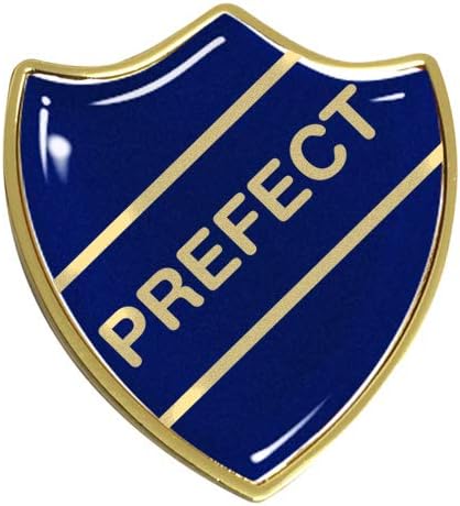 Capricornone 10x Prefect Gel Domed School Shield Badges (Black