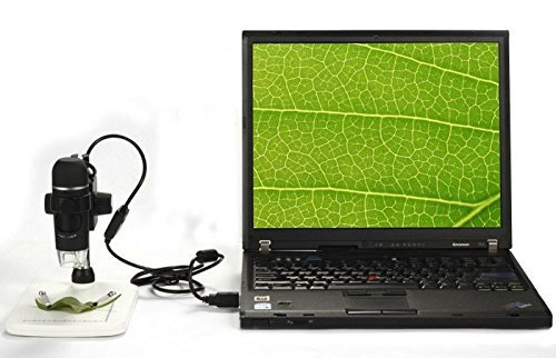 Microscopio digital USB 5 MP con lupa de 300x para examen de monedas y plantas 5