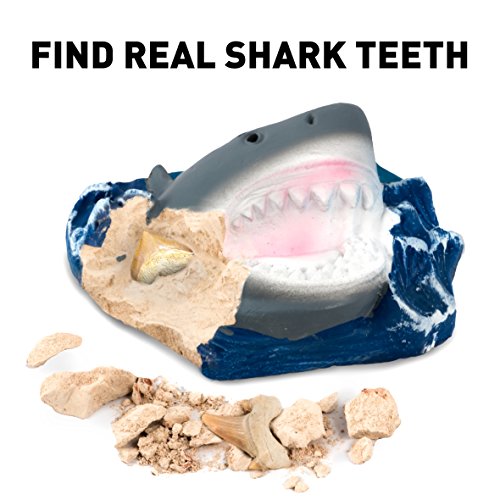 National Geographic Dig Kit: Shark Teeth Fossils, Archaeology & Marine Biology for Kids - Image 2