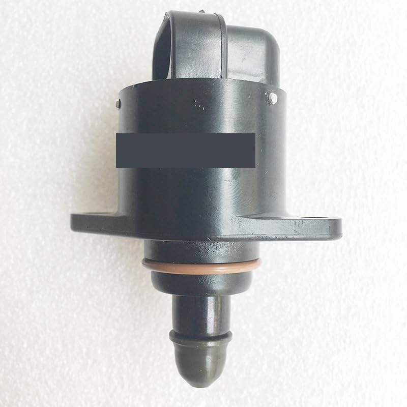 Moteur Chery IAC pour explorer les dunes en buggy Renli Joyner 1100cc sans caler