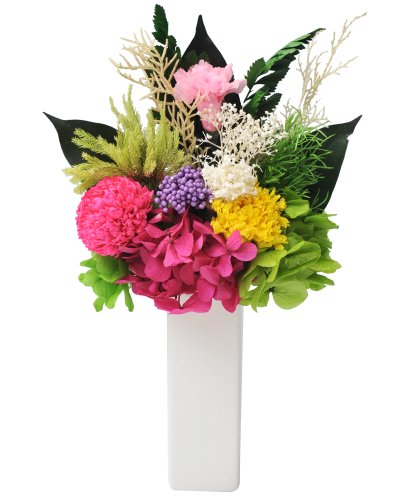 ͂Ȃ vU[uht[ d E9102-74 (Pi) Ԃ̂ ԕr̕tȂ