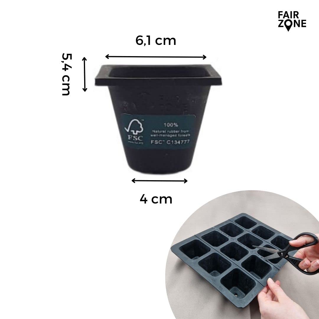 6er Saatgutschale L – Anzuchttöpfe je 5 x 4 cm – Aus Fair Trade Naturkautschuk – Anzuchtplatte für 6 Setzlinge – Aussaatplatten nachhaltig und umweltfreundlich ohne Plastik