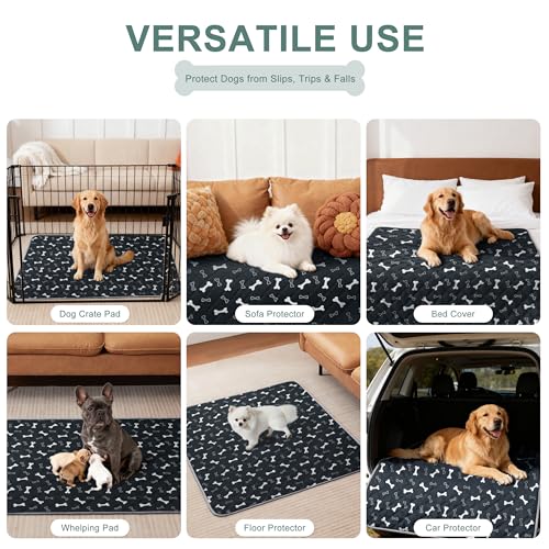 Image of Eterish Reusable Washable Pee Pads for Dogs Large /Extra Large 36'' x 41'' 2 Pack, Absorbent Pet Puppy Dog Training Pads Non-Slip, Waterproof Whelping Potty Pads for Dogs Leak-Proof