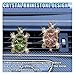 LHDOS 2PCS Bling Tortoise Car Air Vent Clips, Crystal Rhinestone Auto Air Conditioning Outlet Clip, Cute Turtle Car Vent Decorative Clip, Auto Interior Decoration Charm for Women (Tortoise)
