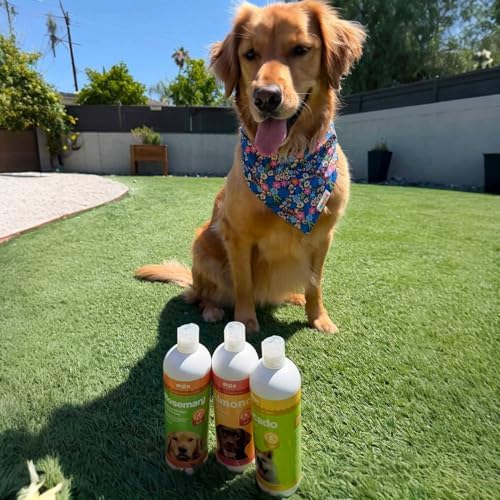 OVZLA Dog Shampoo – Avocado Nourish Formula, Gentle Moisturizing Shampoo for Dogs with Dry & Sensitive Skin, Helps Soothe Irritation, Leaves Coat Soft, Smooth & Healthy – pH Balanced, SLES-Free - 1