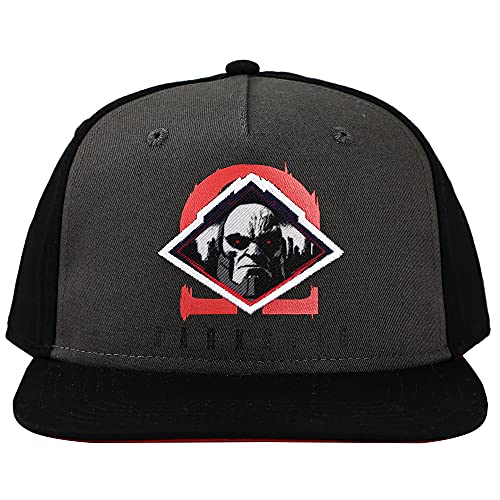 Bioworld Justice League Movie Contrast Printed Front Panel Snapback hat for Kids Multicolored