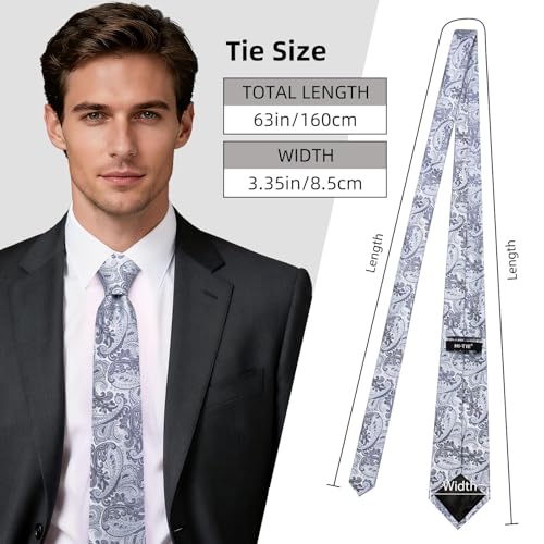 Image of Hi-Tie 63 inches Striped Paisley Extra Long Ties for Men Silk Necktie with Lapel Pin Tie Clip Big and Tall Men Formal Wedding