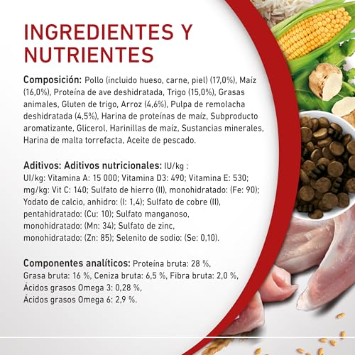 PURINA ONE Medium/Maxi  10 kg Active | Trockenfutter reich an Huhn für Erwachsene Hunde | 7 kg Beutel