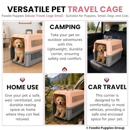 Image of Foodie Puppies Portable Pet Travel Cage with Handle (47 x 31 x 31cm, Small) for Small Dogs & Cats | Durable Travel Cage Box with Secure Metal Door, Spring Lock & Ventilated Design