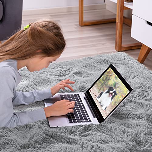 Softlife Rug For Bedroom 4X5.3 Feet Area Rug For Living Room Super Soft Shaggy Rugs For Kids Room Fluffy Fuzzy Carpets Long Plush Bedside Rug Nursery Home Decoration For Boys Girls, Grey #TOP6