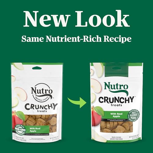 Image of Nutro Crunchy Dog Treats with Real Apple, 10 oz