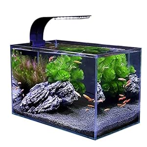 Klein Ecologisch Aquarium 15l Glazen Landschapsaquarium Met Led-graslicht En Filterpomp Voor Een Ontspannend Effect…