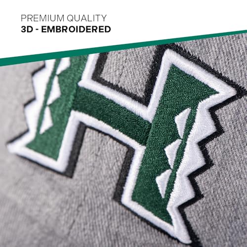 Desert Cactus University of Hawaii Baseball Hat miniatura 3