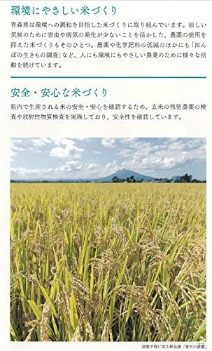 パールライス 青森県産 白米 青天の霹靂 5kg 令和6年産