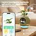 Imagen de Plantbot Robot de Macetas Inteligente Mejorado Grande con Inteligencia Artificial