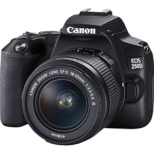 Canon EOS 250D digitale Spiegelreflexkamera + Objektiv EF-S 18-55mm F3.5-5.6 III (24, 1 Megapixel, 7,7 cm/3 Zoll Vari-Angle Display, APS-C-Sensor, 4K, Full-HD, DIGIC 8, WLAN, Bluetooth), schwarz