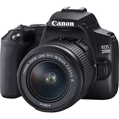 Canon EOS 250D Digitalkamera - mit Objektiv EF-S 18-55mm f/3.5-5,6 III (24, 1 Megapixel, 7,7 cm (3 Zoll) Vari-Angle Display, APS-C-Sensor, 4K, Full-HD, DIGIC 8, WLAN, Bluetooth), schwarz