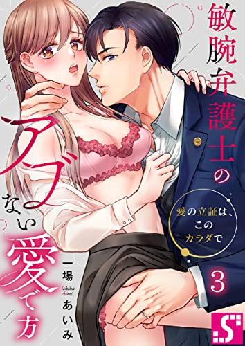 敏腕弁護士のアブない愛で方～愛の立証は、このカラダで(3) (TLスクリーモ)