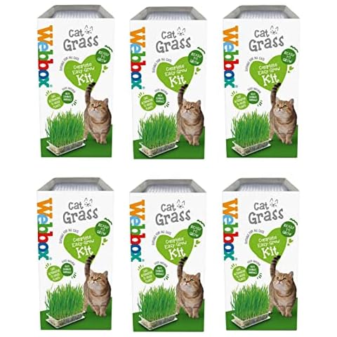 6 Pack WEBBOX CAT GRASS EASY GROW SEED KIT CAT TREAT 120G Cover