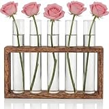 Vase Decoratif Petits Vases en Tubes à Essai,Station De Propagation Hydroponique,Vase en Verre avec Support en Bois,pour Plantes hydroponiques, Tubes à essai, pour la Maison