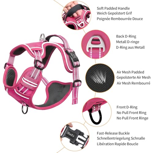 Image of HEELE Dog Harness for Large Dogs No Pull Dog Vest Harness for Large Dog with Soft Padded Handle Reflective for Outdoor Training, Rose(Matching Trim), L