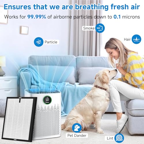 Image of 2 Pack HAP-603 /HAP-603WF Replacement Filter Fit for ECOSELF Air Purifier Filter Replacement for ECOSELF HAP603 / HAP603WF Air Purifier, for Home Large Room with Smart Mode, # RFHAP603 White