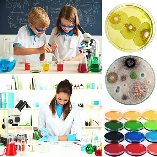 30 PCS 90 x 15 mm Sterile Plastic Petri Dishes with Lid,Bioresearch Sterile Petri Dish,Culture Dishes with Lids,Perfect Kit for Medical,Biological,and School Science Fair Projects Birthday Parties