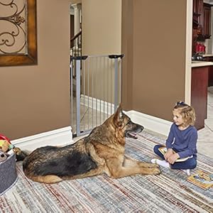   New-World-Steel-Dog-Gate-Pressure-Mounted-Pet-Gate-Protects-Walls-Doorways-No-Tool-Installation-Dog-Gate-Measures-39H-x-295-38W-Inches-Light-Gray