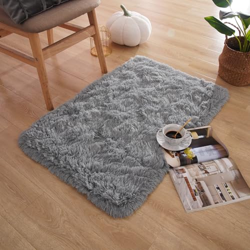 Small Bedside Rug, 2x3 Non Slip Fluffy Shaggy Entryway Throw Rugs for Bedroom Living Room, Indoor Floor Carpet for Kids Girls and Boys, Nursery Rooms Mat, Home Decor Aesthetic, Light Grey