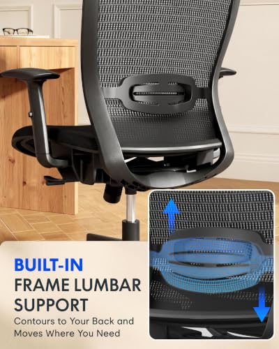Image of FLEXISPOT OC3 Ergonomic Chair with Dual Front& Back Lumbar Support,MS Black