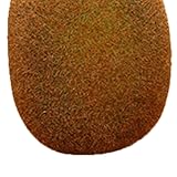 Bewinner Leichte Schaumstoff-Requisiten mit Gefälschten Früchten für die Früherziehung, Modellfotografie, Dekorative Präsentation Künstlicher Früchte (Kiwi)