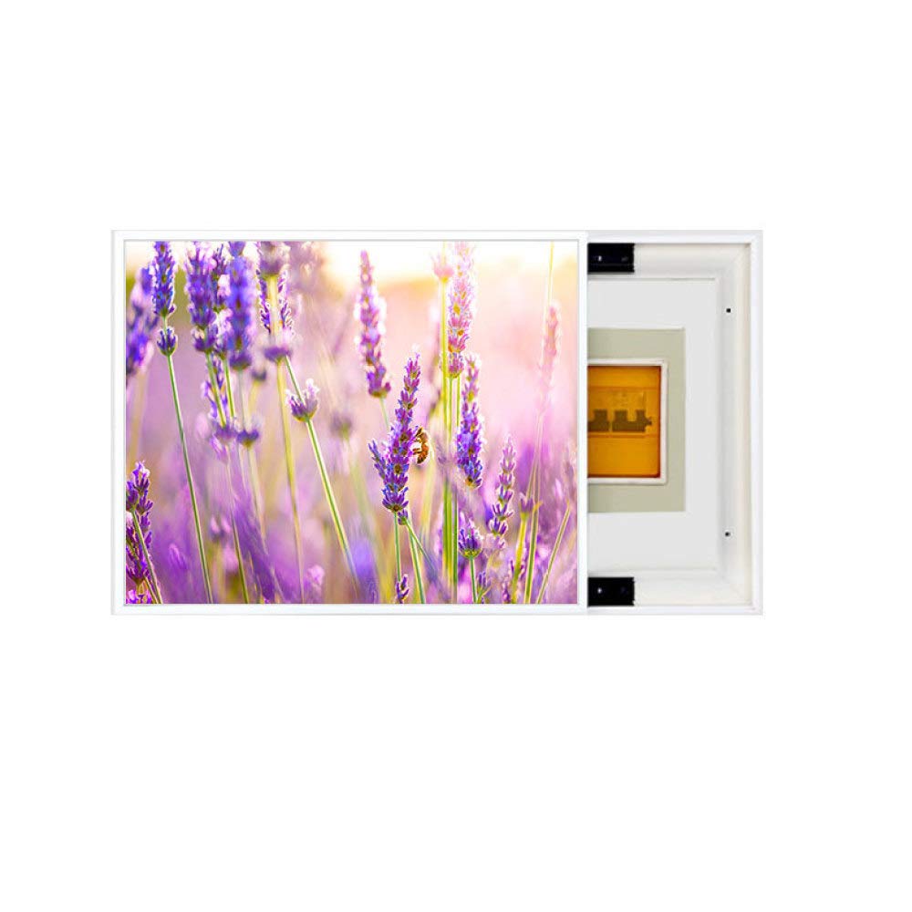 Peinture décorative pour boîte de distribution I-40x50cm cache-compteur à ouverture droite